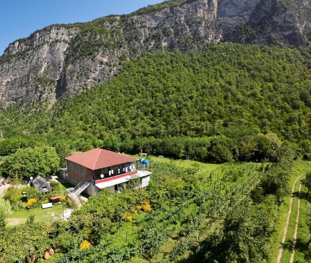 Guest House Oasis - Tvishi Exteriör bild